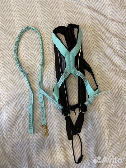 Ошейник для собак, шлейка, поводок