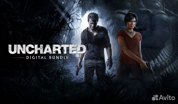 Uncharted 4 (PS4, PS5)