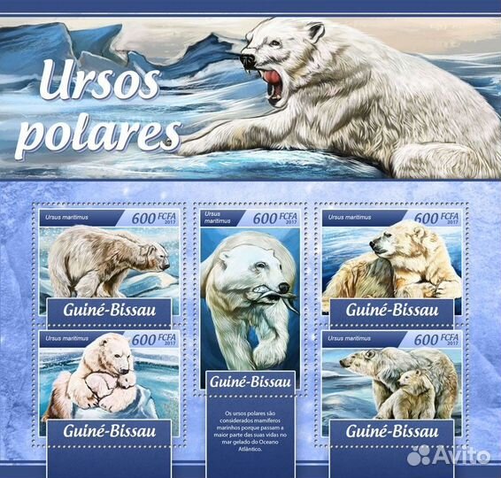 Гвинея-Биссау, 2017. (gb17105) Фауна, полярные мед