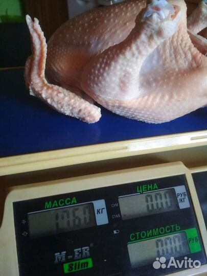 Мясо кур бройлеров