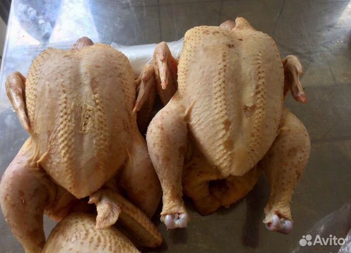 Мясо домашних бройлерных кур