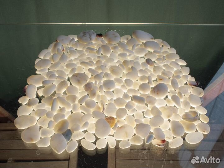 Морские камушки от