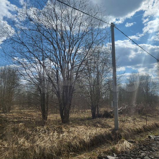 Участок 12 сот. (СНТ, ДНП)