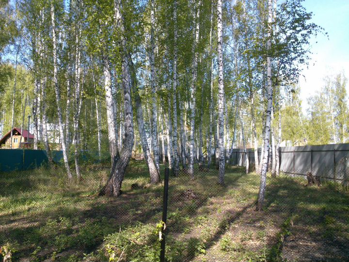 Участок 11 сот. (СНТ, ДНП)