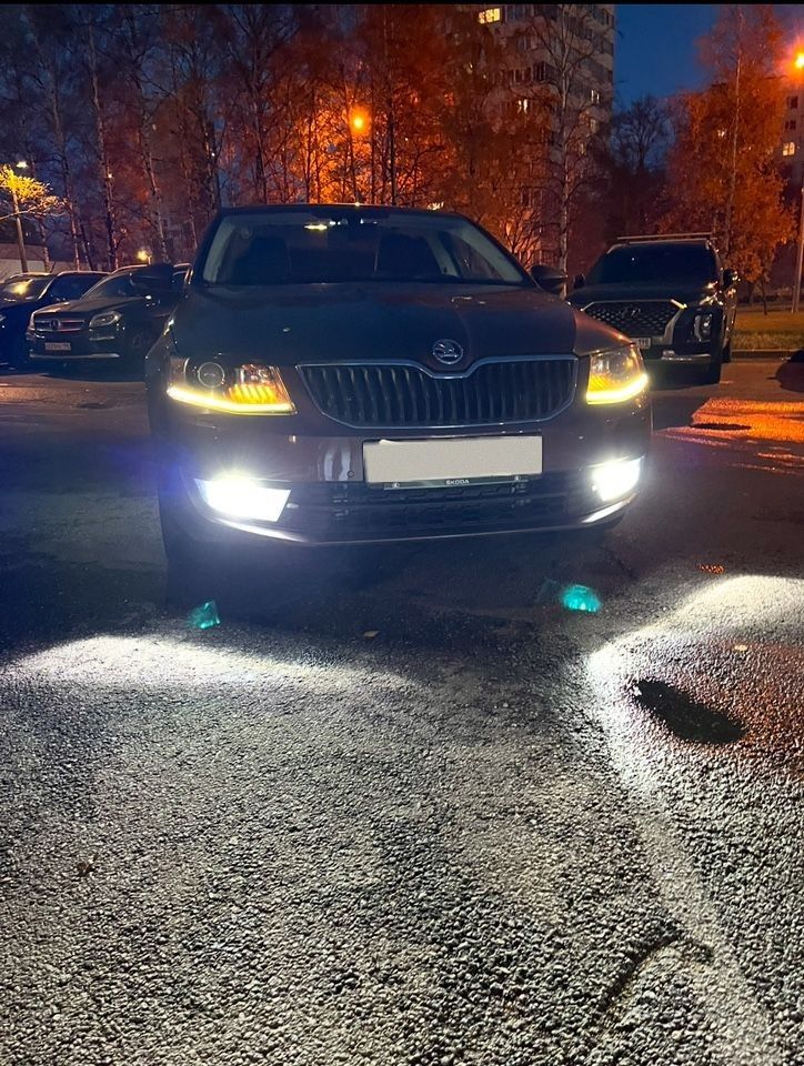 Skoda Octavia: фото владельца