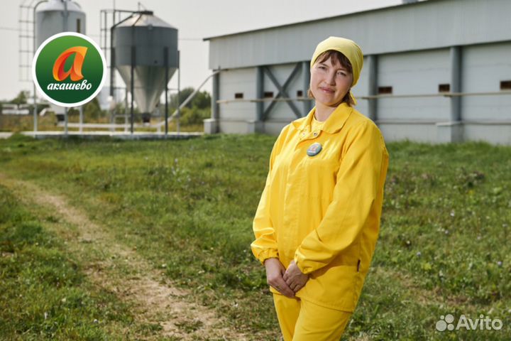 Оператор птицефабрик п. Нижний Турек