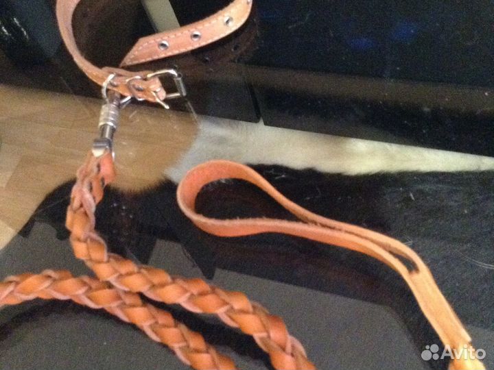 Ошейник,поводок (кожа) 110см