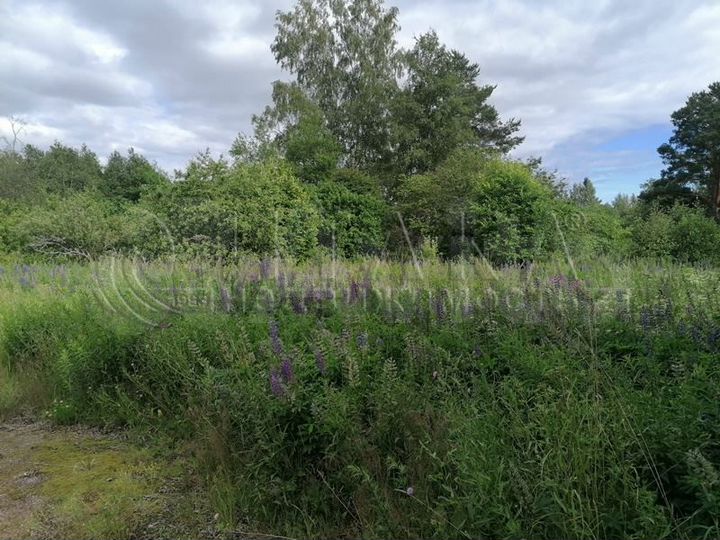 Участок 10 сот. (СНТ, ДНП)