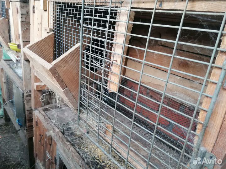 Клетка для кролика