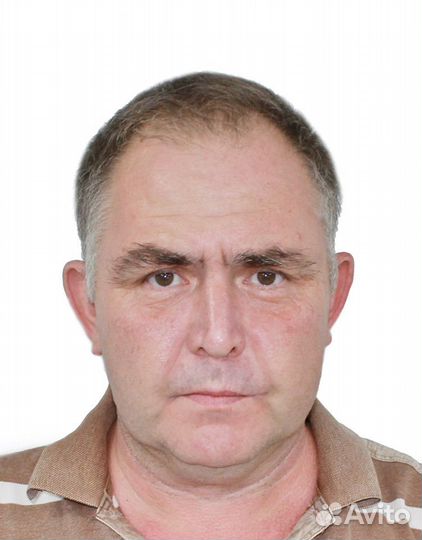 Главный инженер, главный энергетик