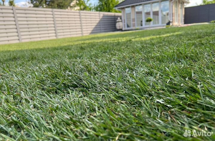 Рулонный газон с укладкой
