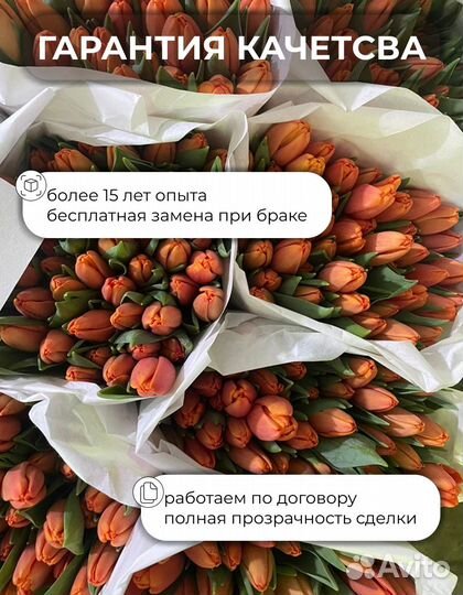 Тюльпаны оптом к 8 марта Предзаказа тюльпанов опто