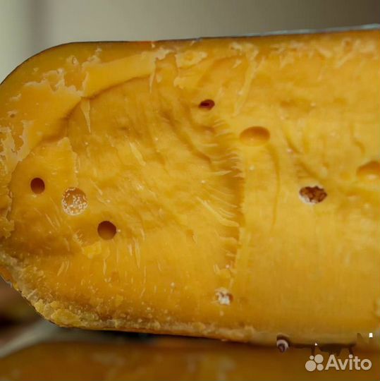 Сыр Грюйер