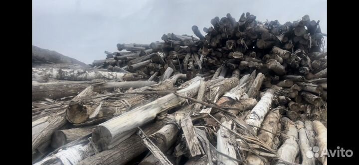Коряги пни ветки спилы кругляк