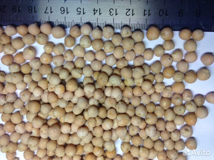 Семена однолетних многолетних трав растений