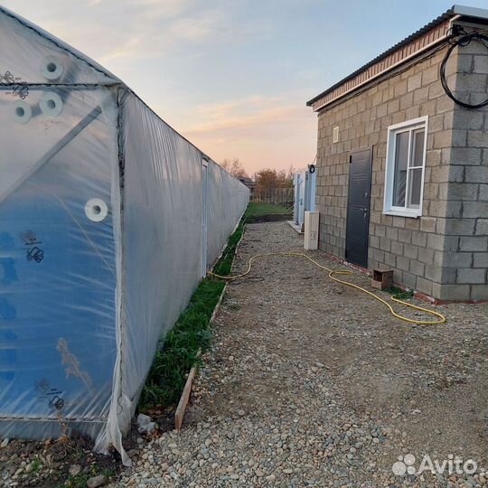 Тепличное хозяйство с газом