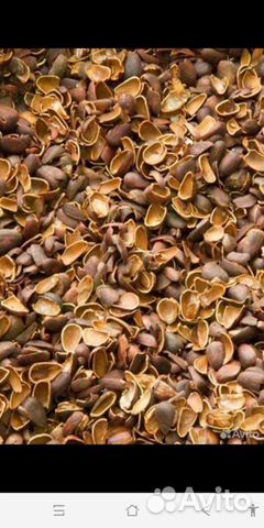Скорлупа кедровая от орешек свежая