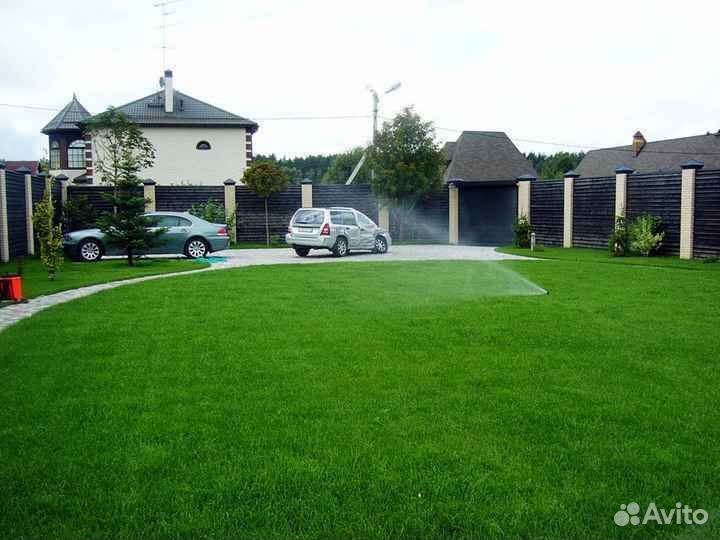 Укладка и продажа рулонного газона