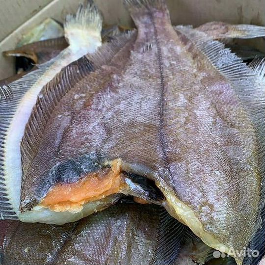 Ерш Мурманский