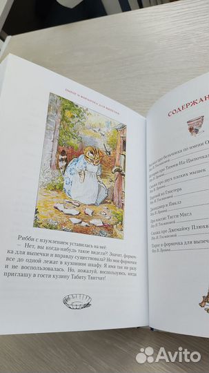 Детская книга про друзей Питера Пуша