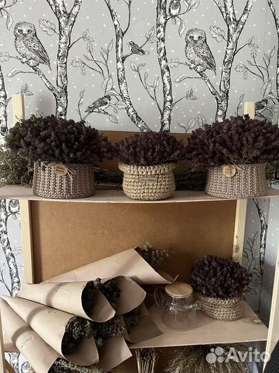 Букет из чабреца, букет чая, чабрец, чай, травы