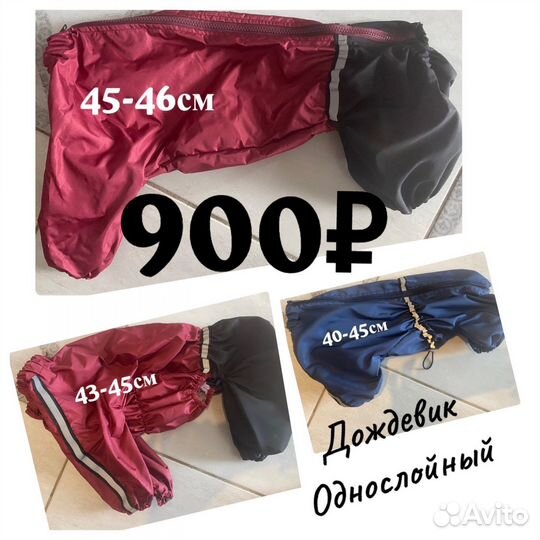 Одежда для собак
