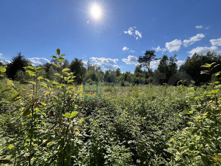 Участок 26 сот. (ИЖС)