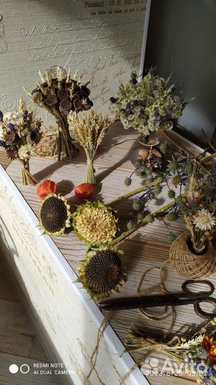 Букеты из сухоцветов