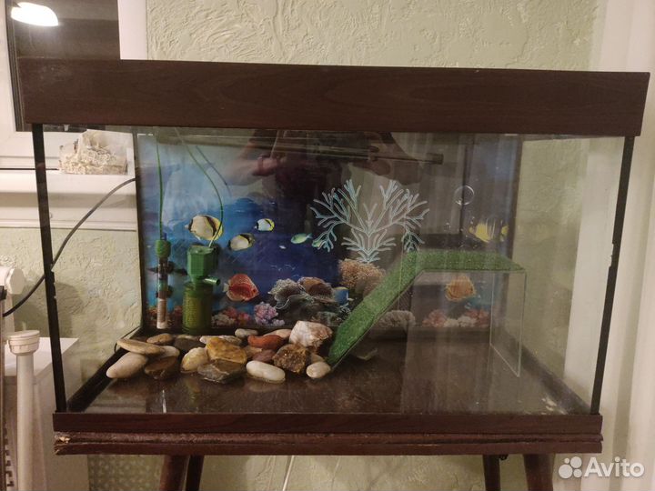 Аквариум