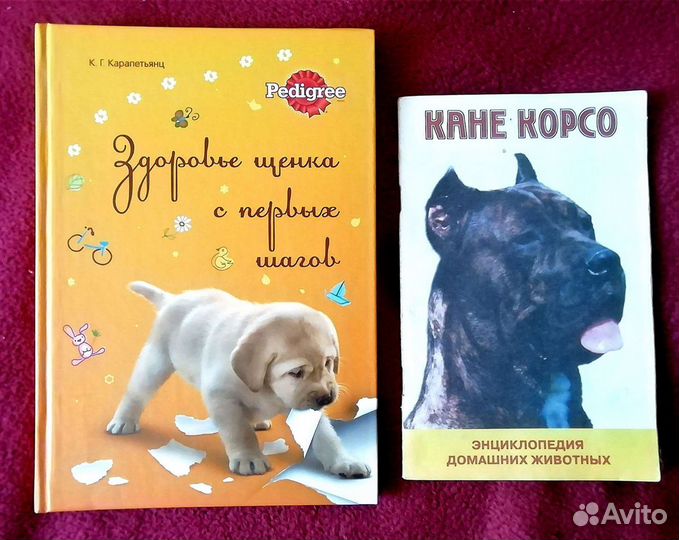 Книги о собаках