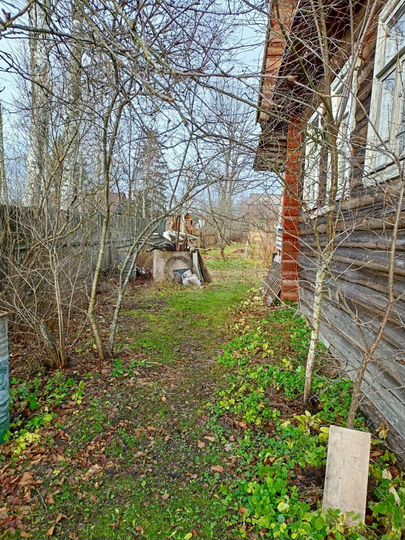 Дом 48,7 м² на участке 26 сот.