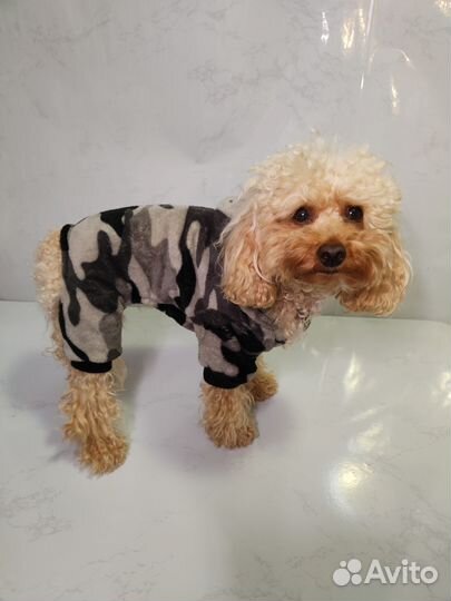 Комбинезон демисезонный для собак