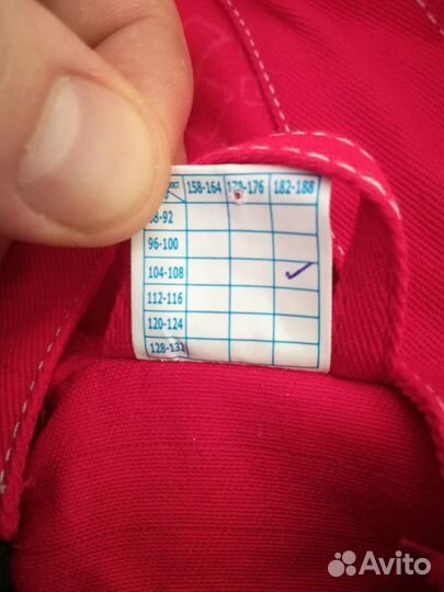 Энцефалитка