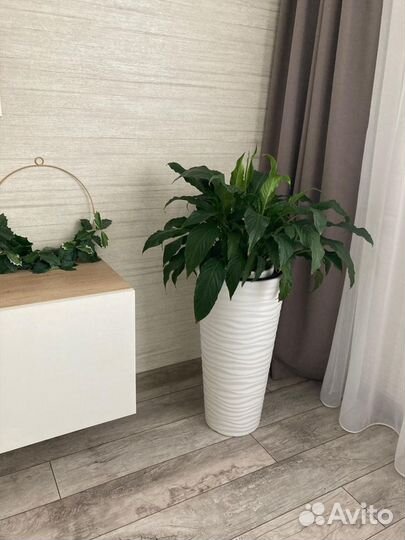 Кашпо напольное. Новое 43л. Привезу