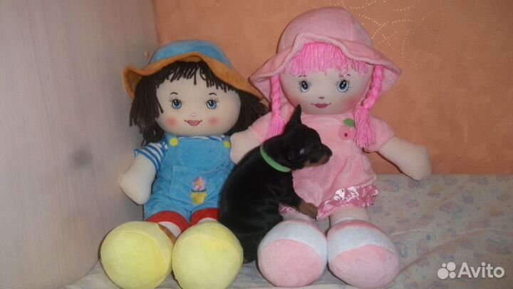 Цвергпинчерята