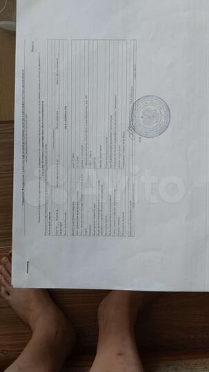 Участок 13 сот. (ИЖС)