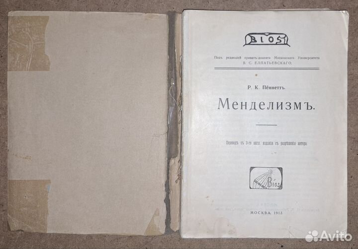 Пённетт. Менделизм. 1913 год