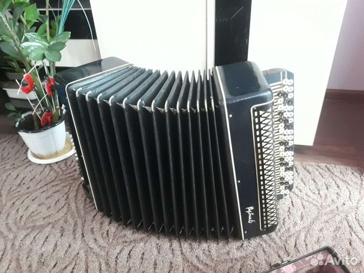 Баян Рубин 6