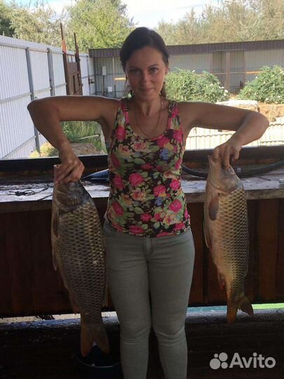 Рыбалка в Астрахани (с. Гандурино), г. Астрахань