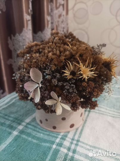 Сухоцветы в композиции