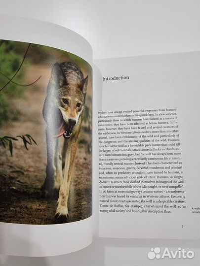 Книги на английском языке