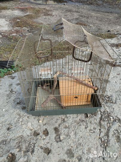 Клетка