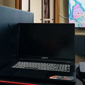Ноутбук ardor gaming rage X17-I7ND311 17.3
