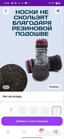 Носки, обувь для собаки