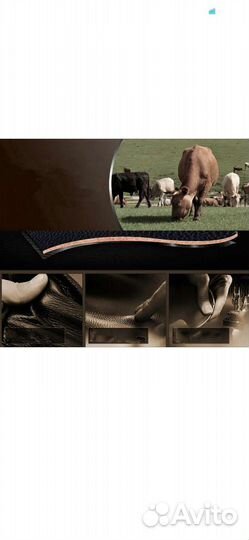 Чехол-книжка для Oneplus Nord 2 5G из нат. кожи