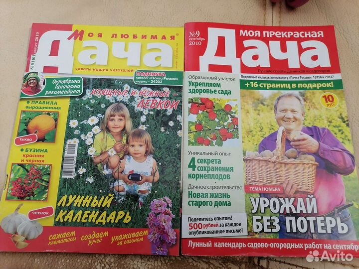 Пакет журналов про дачу и цветы