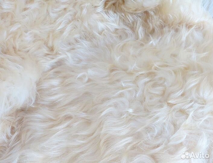 Шкура овечья «Золотое руно» (№275)