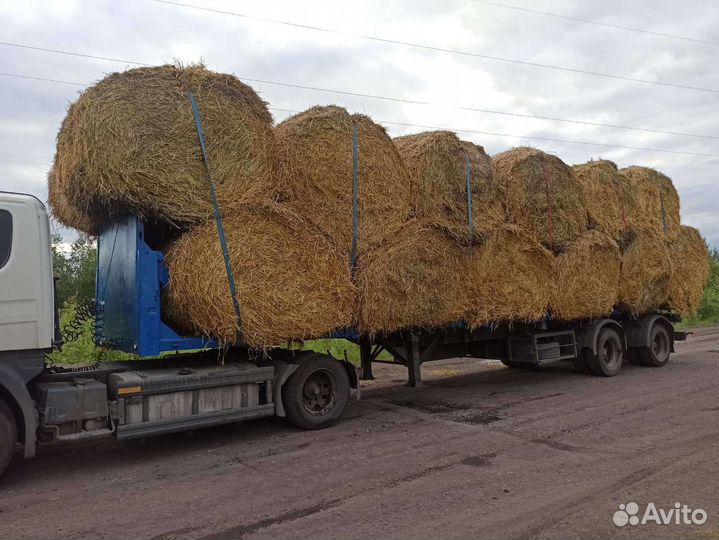 Грузоперевозки селитры зерна,сена, кирпича