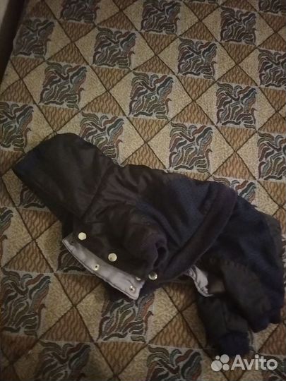 Комбинезон для щенка демисезонный