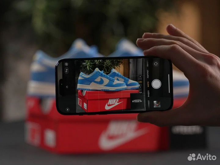 Кроссовки Nike Dunk Low Coast